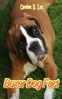 Boxer dog Fact