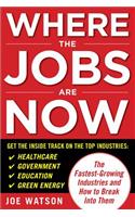 Where the Jobs Are Now: The Fastest-Growing Industries and How to Break Into Them