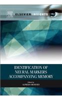 Identification of Neural Markers Accompanying Memory