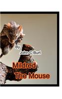 Mildred The Mouse.