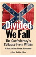 Divided We Fall
