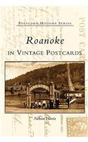 Roanoke in Vintage Postcards: (Postcard History Series)
