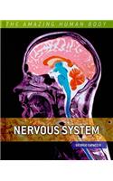 Nervous System