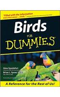 Birds for Dummies