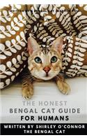 Honest Bengal Cat Guide for Humans