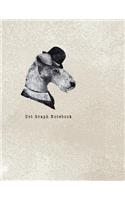 Dot Graph Notebook