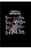 Anatomy of Siberian Husky: Notebook Journal Diary 110 Lined pages