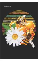 honeycomb bee: Funny flowers gift beekeeping Lined Notebook / Diary / Journal To Write In 6x9 gift for beekeepers, farmers and gardeners