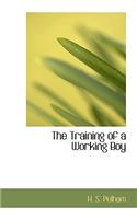The Training of a Working Boy