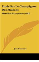 Etude Sur Le Champignon Des Maisons
