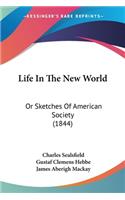 Life In The New World