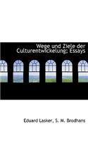 Wege Und Ziele Der Culturentwickelung; Essays