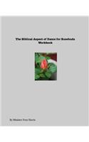 Biblical Aspect of Dance for Rosebuds Workbook