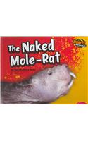 The Naked Mole-Rat: (Weird Animals)