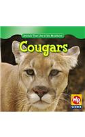 Cougars