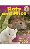 Rats and Mice