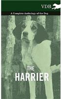 Harrier - A Complete Anthology of the Dog