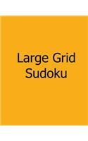 Large Grid Sudoku