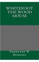 Whitefoot the Wood Mouse
