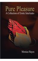 Pure Pleasure: A Collection of Erotic Interludes(English)