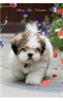 Lhasa Apso November Notebook Lhasa Apso Record, Log, Diary, Special Memories, To Do List, Academic Notepad, Scrapbook & More