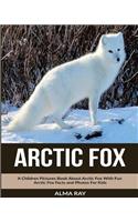 Arctic Fox