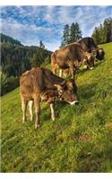 Brown Cows in an Alpine Meadow Journal: 150 Page Lined Notebook/Diary: 150 Page Lined Notebook/Diary