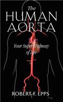 The Human Aorta: Your Super Highway of Life