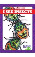 I See Insects