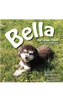 Bella, the Green Puppy: An Eco-Friendly Tale