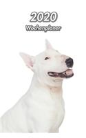 2020 Wochenplaner: Weißer Bullterrier - 107 Seiten, 15cm x 23cm ca. A5 - Taschenkalender - Terminplaner - Tagebuch - Terminkalender - Organizer für Hundeliebhaber