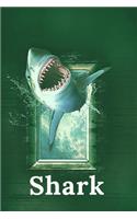 Shark
