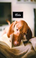 Vizsla Dog Pup Puppy Doggie Notebook Bullet Journal Diary Composition Book Notepad - Read in Book: Cute Animal Pet Owner Composition Book with 100 Unruled Plain Blank Paper Pages in 6" x 9" Inch