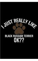 I Just Really Like Black Russian Terrier Ok?