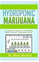 Hydroponic Marijuana