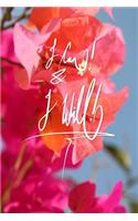 I can and I will
