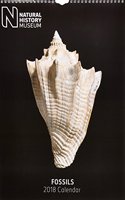 2018 Natural History Museum 2018 'Fossils'