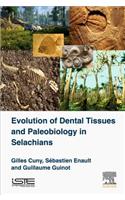 Evolution of Dental Tissues and Paleobiology in Selachians