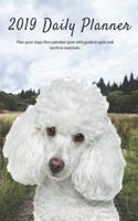 2019 Daily Planner Plan Your Days This Calendar Year with Goals to Gain and Work to Maintain.: Cute Poodle Dog Appointment Book for Hourly, Weekly, Monthly Planning 6am - 8pm, Page Space for Tracking Notes & To-Do List: 6 X 9 in (15.2 X 22 CM)