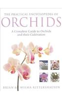 THE PRACTICAL ENCYCLOPEDIA OF ORCHIDS