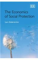 The Economics of Social Protection