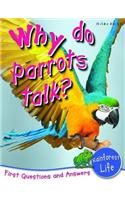 Why do Parrots Talk?