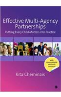 Effective Multi-Agency Partnerships