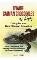 Dwarf Caiman Crocodiles as Pets
