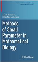 Methods of Small Parameter in Mathematical Biology