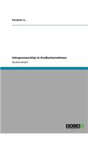 Intrapreneurship in Großunternehmen