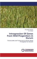 Introgression of Genes from Wild Progenitors in Durum