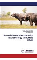 Bacterial renal diseases with its pathology in Buffalo calves