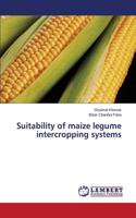 Suitability of Maize Legume Intercropping Systems