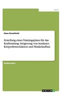 Erstellung eines Trainingsplans für das Krafttraining. Steigerung von Ausdauer, Körperfettreduktion und Muskelaufbau